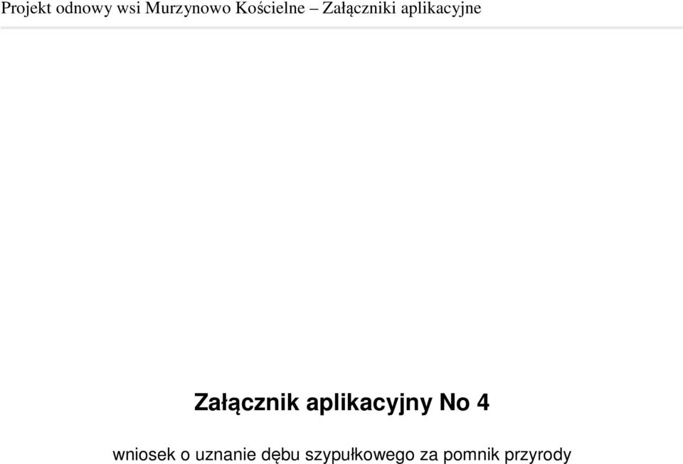 Załącznik aplikacyjny No 4 wniosek