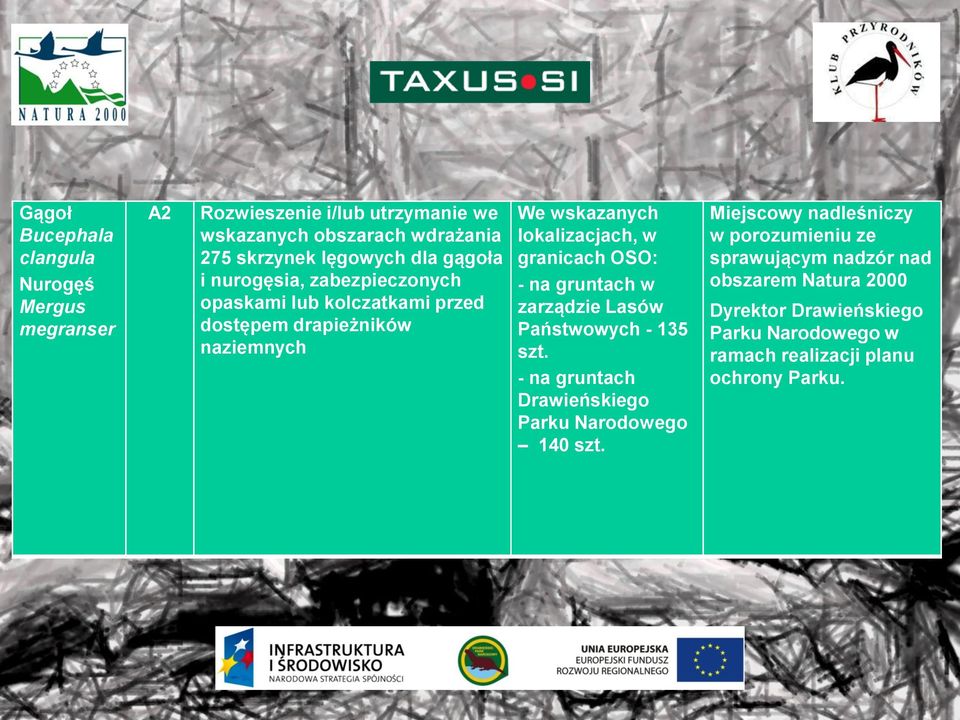 granicach OSO: - na gruntach w zarządzie Lasów Państwowych - 135 szt. - na gruntach Drawieńskiego Parku Narodowego 140 szt.