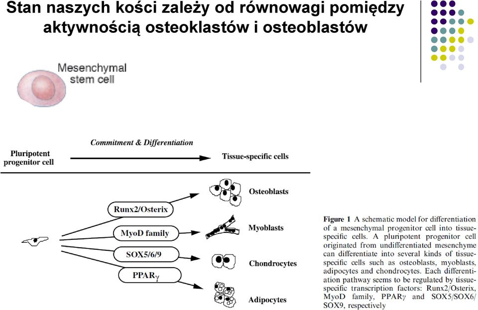 pomiędzy aktywnością