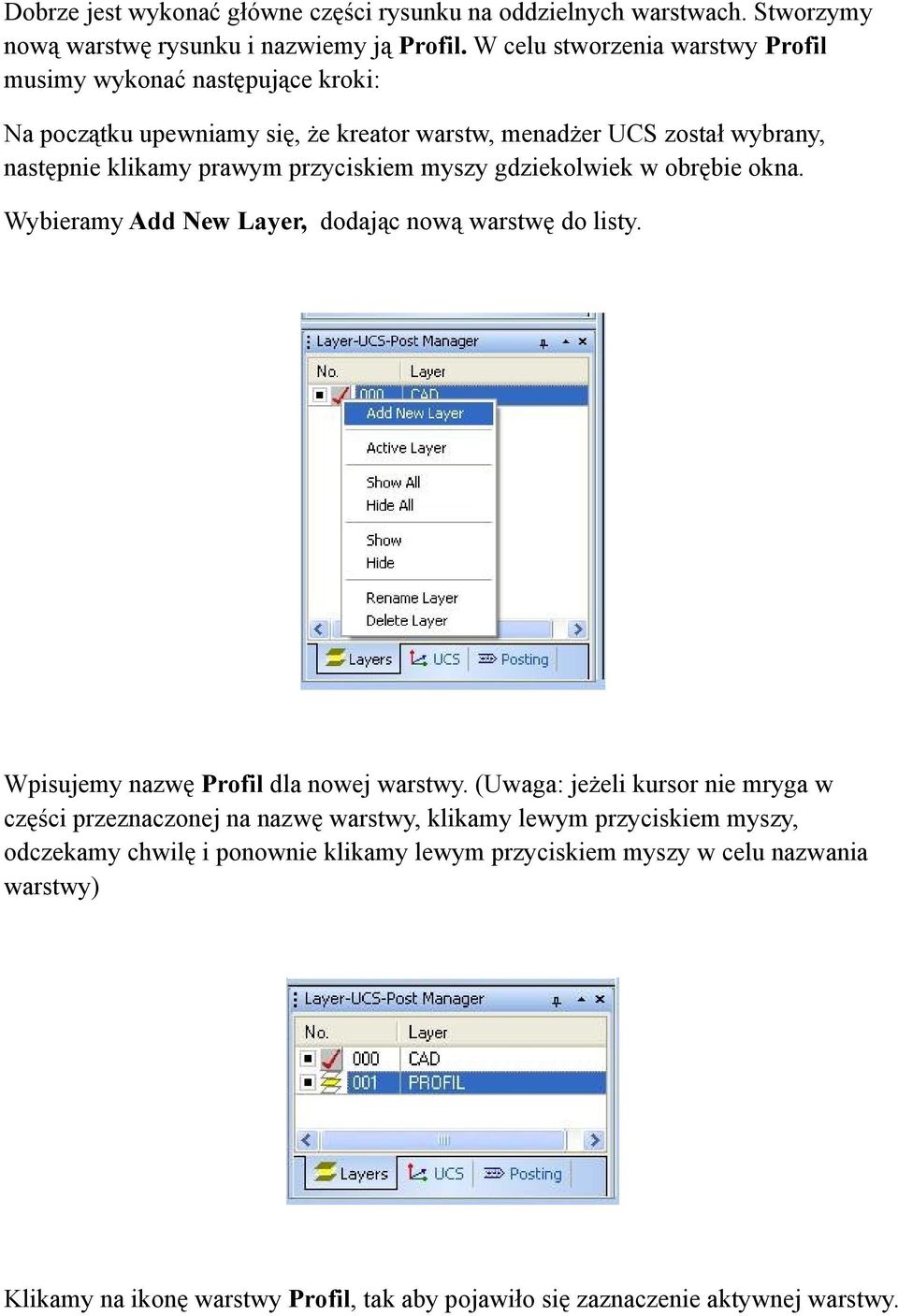 przyciskiem myszy gdziekolwiek w obrębie okna. Wybieramy Add New Layer, dodając nową warstwę do listy. Wpisujemy nazwę Profil dla nowej warstwy.