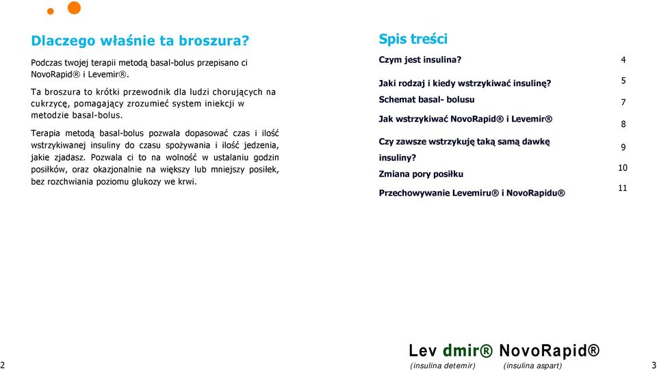 Terapia metodą basal-bolus pozwala dopasować czas i ilość wstrzykiwanej insuliny do czasu spożywania i ilość jedzenia, jakie zjadasz.