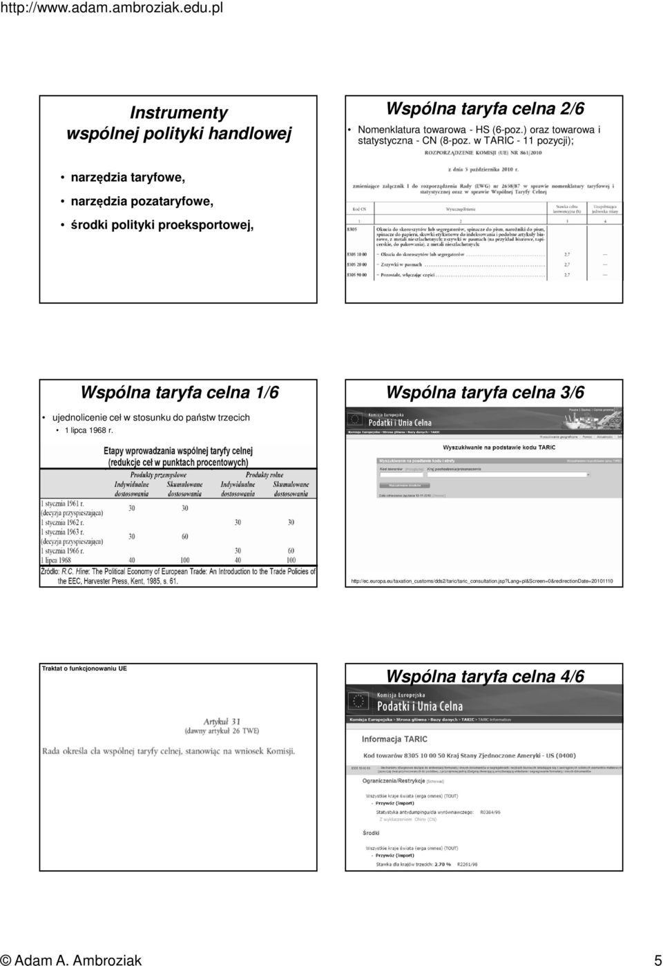 w TARIC - 11 pozycji); narzędzia taryfowe, narzędzia pozataryfowe, środki polityki proeksportowej, Wspólna taryfa celna 1/6 Wspólna