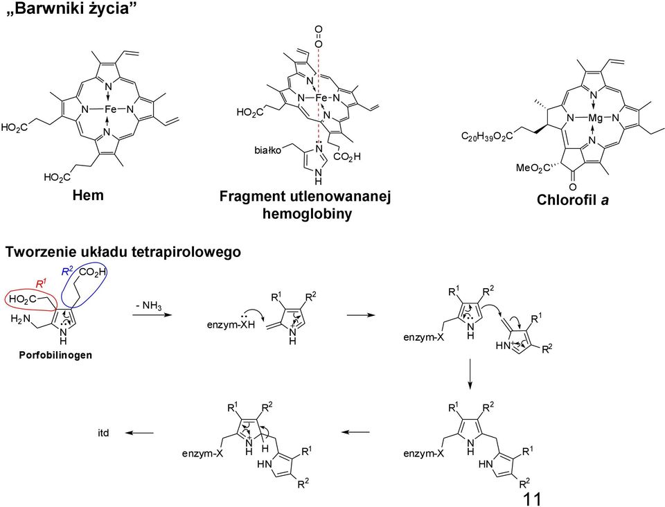 tetrapirolowego 1 R 2 C 2 2 C 2 Porfobilinogen - 3 enzym-x R 1 R 2