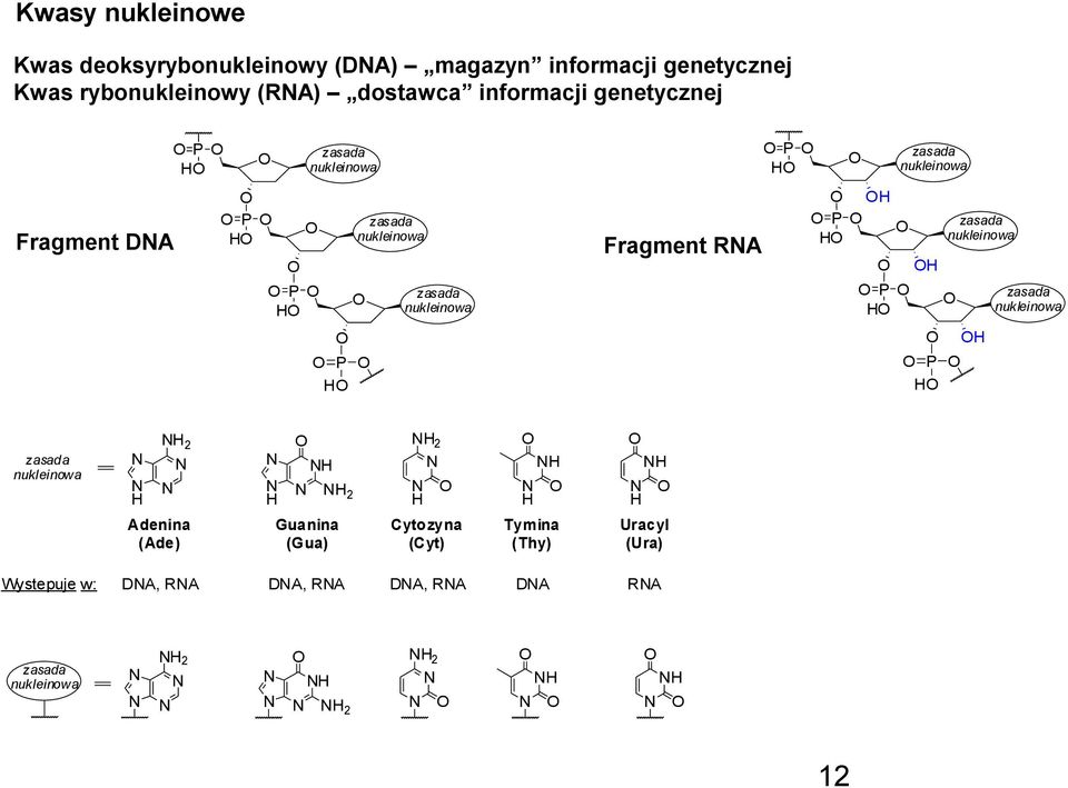 Fragment RA P P P zasada nukleinowa P zasada nukleinowa zasada nukleinowa zasada nukleinowa 2 2 2 Adenina
