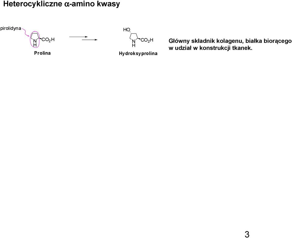 ydroksyprolina Główny składnik