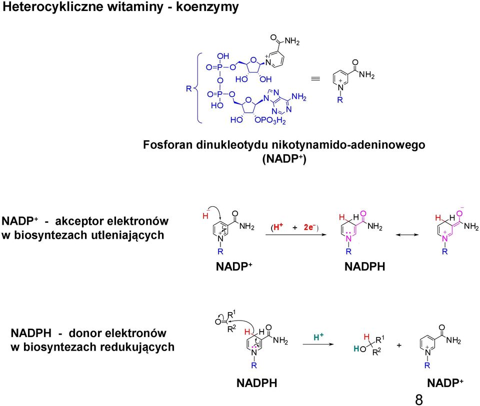 elektronów w biosyntezach utleniających 2 ( + + 2e ) 2 R R ADP + ADP 2 R