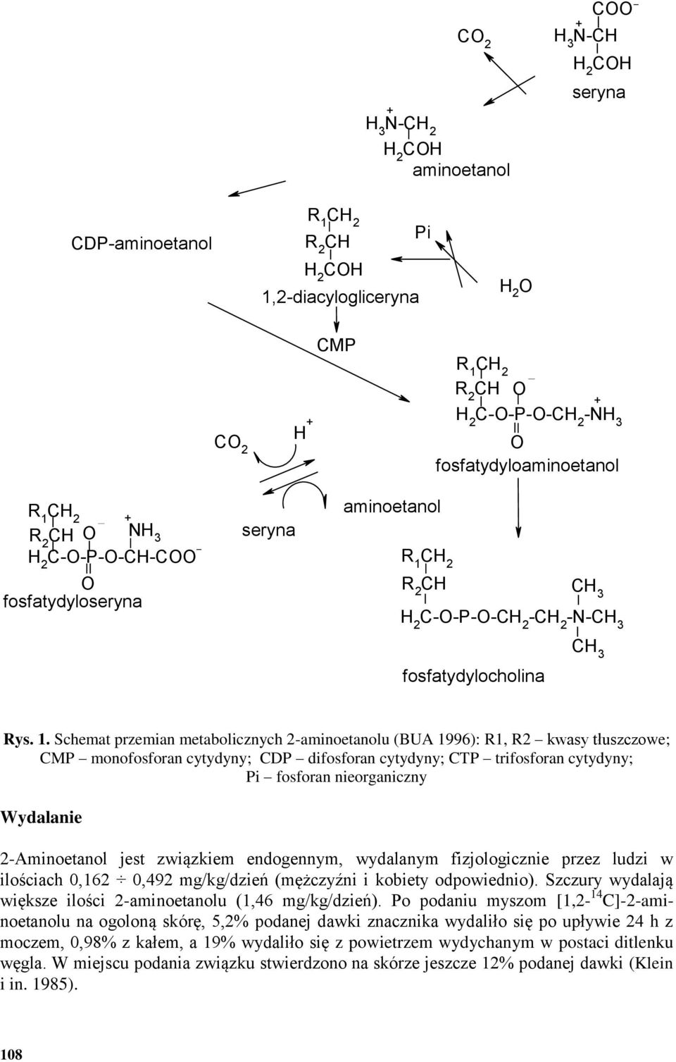 CH aminoetanol 2 + R 2 CH O NH 3 seryna H 2 C-O-P-O-CH-COO - R 1 