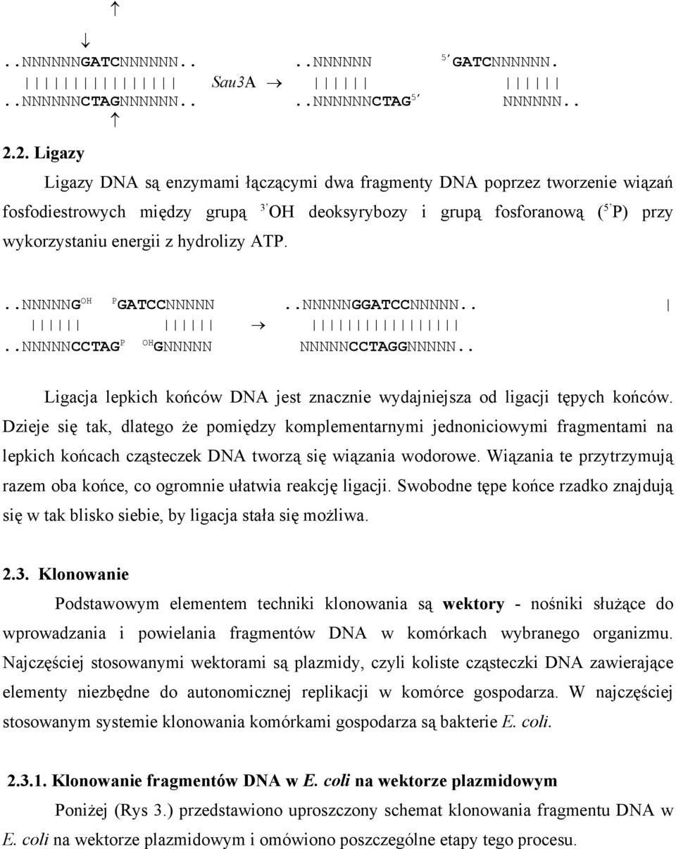 ATP...NNNNNG OH P GATCCNNNNN..NNNNNGGATCCNNNNN....NNNNNCCTAG P OH GNNNNN NNNNNCCTAGGNNNNN.. Ligacja lepkich końców DNA jest znacznie wydajniejsza od ligacji tępych końców.