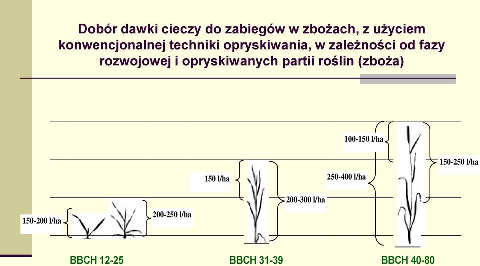 opryskiwanych partii roślin (zboża) 100-150 l/ha 150 l/ha 250-400