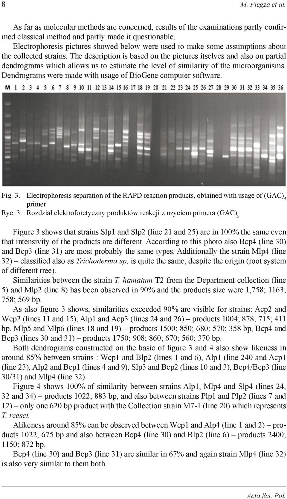 The description is based on the pictures itselves and also on partial dendrograms which allows us to estimate the level of similarity of the microorganisms.