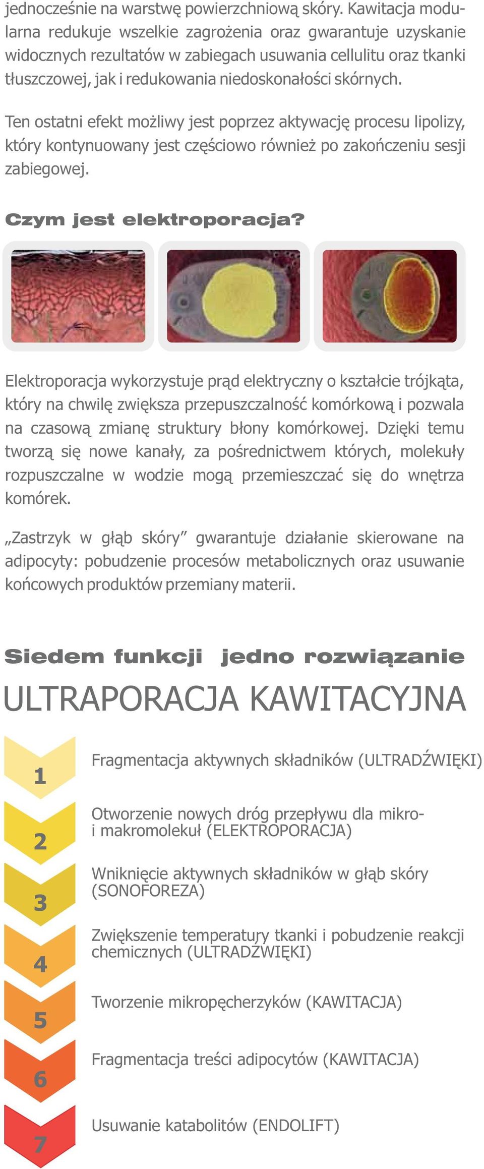 Ten ostatni efekt możliwy jest poprzez aktywację procesu lipolizy, który kontynuowany jest częściowo również po zakończeniu sesji zabiegowej. Czym jest elektroporacja?