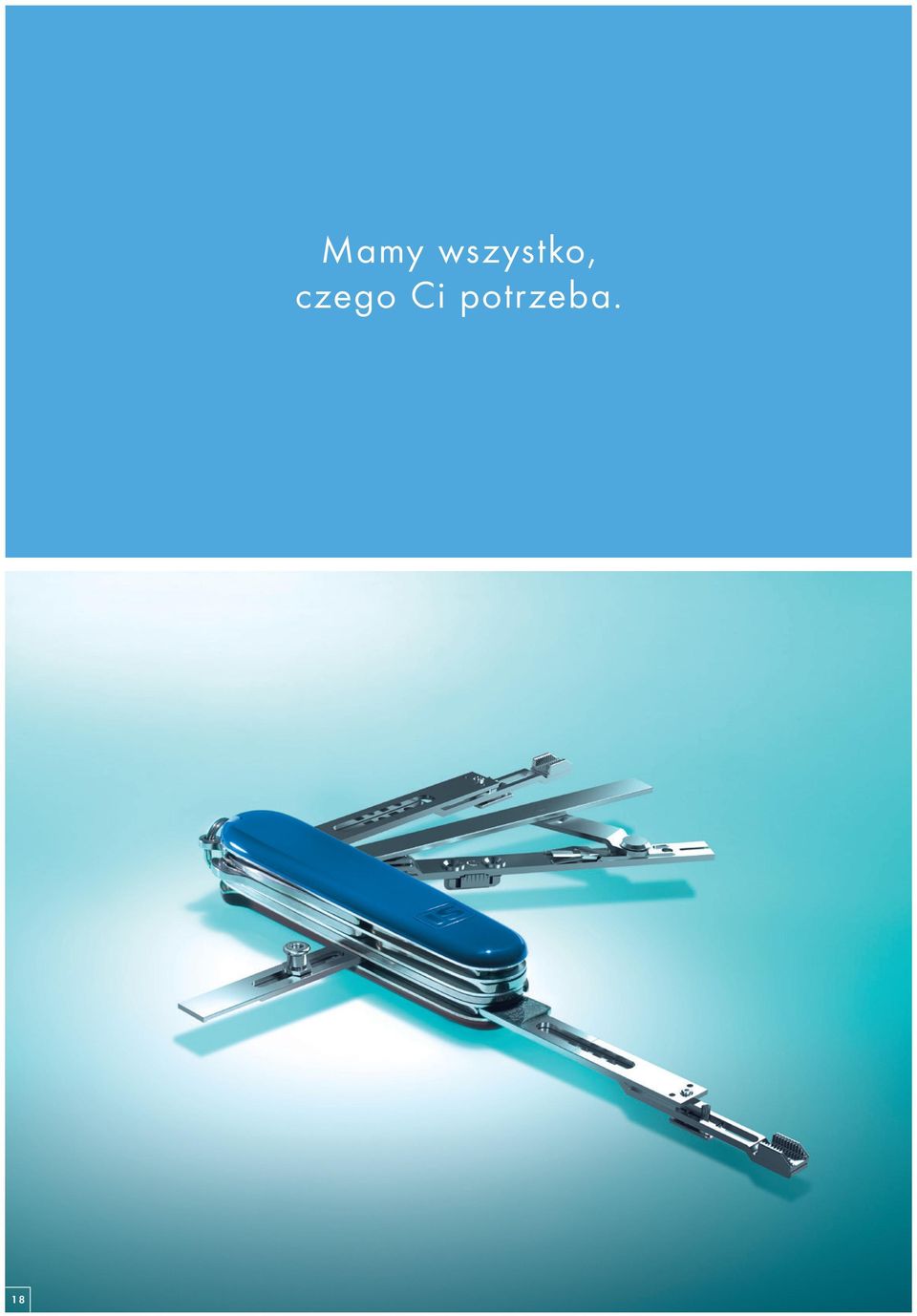czego Ci