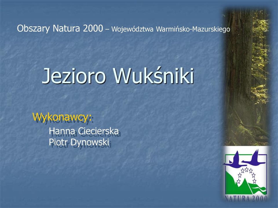 Warmińsko-Mazurskiego