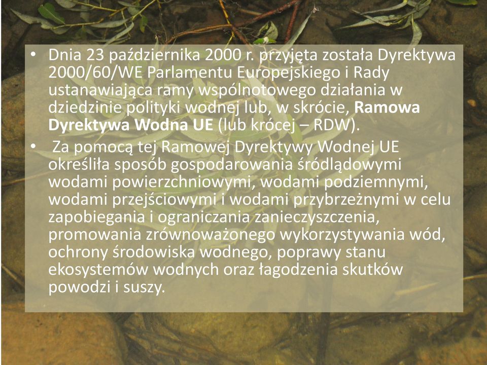 skrócie, Ramowa Dyrektywa Wodna UE (lub krócej RDW).