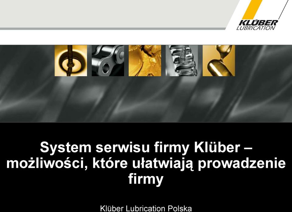 prowadzenie firmy Klüber Lubrication