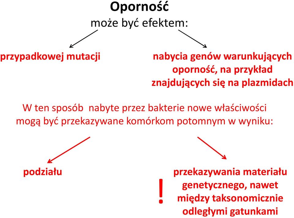 bakterie nowe właściwości mogą być przekazywane komórkom potomnym w wyniku: