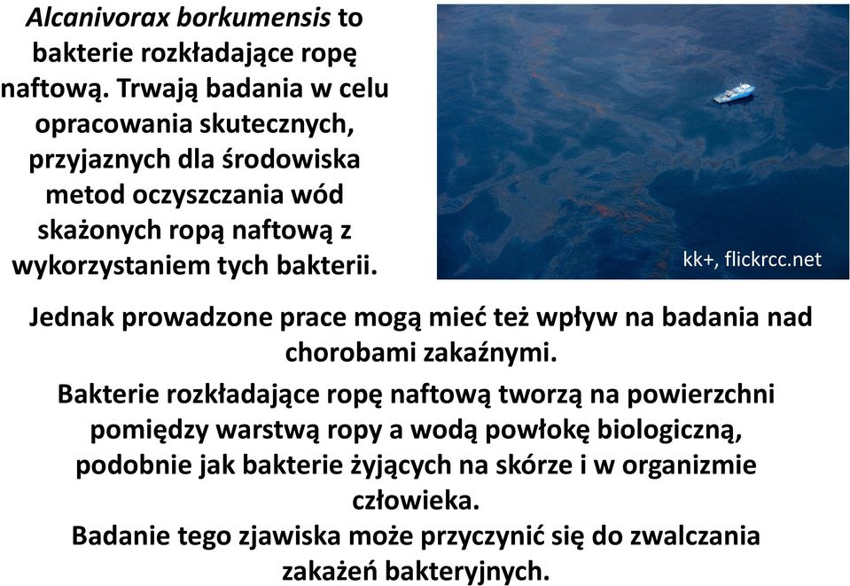 tych bakterii. kk+, flickrcc.net Jednak prowadzone prace mogą mieć też wpływ na badania nad chorobami zakaźnymi.