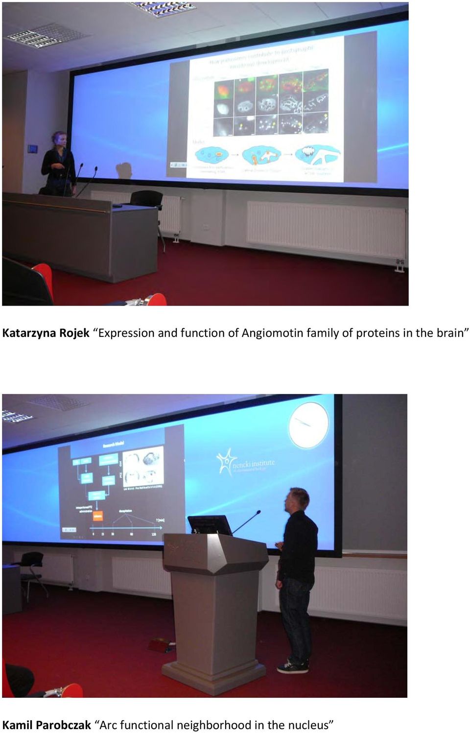 proteins in the brain Kamil