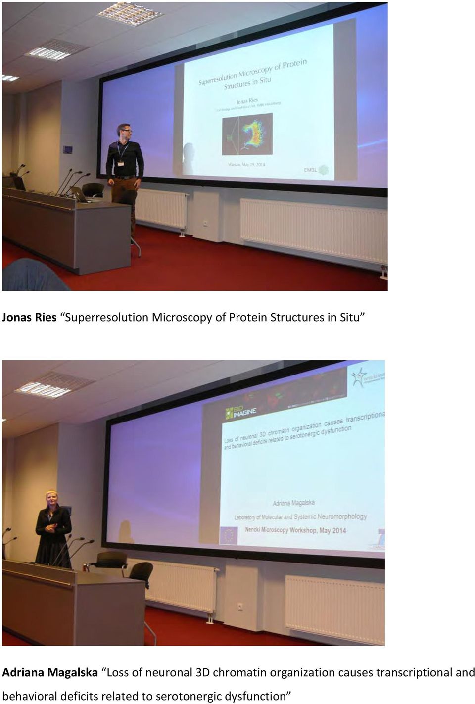 3D chromatin organization causes transcriptional and