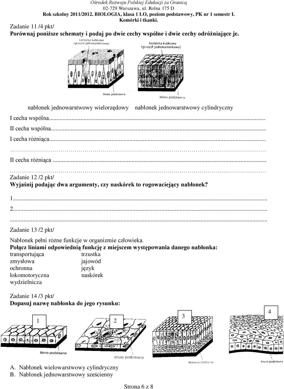 ... Zadanie 12 /2 pkt/ Wyjaśnij podając dwa argumenty, czy naskórek to rogowaciejący nabłonek? 1... 2... Zadanie 13 /2 pkt/ Nabłonek pełni różne funkcje w organizmie człowieka.