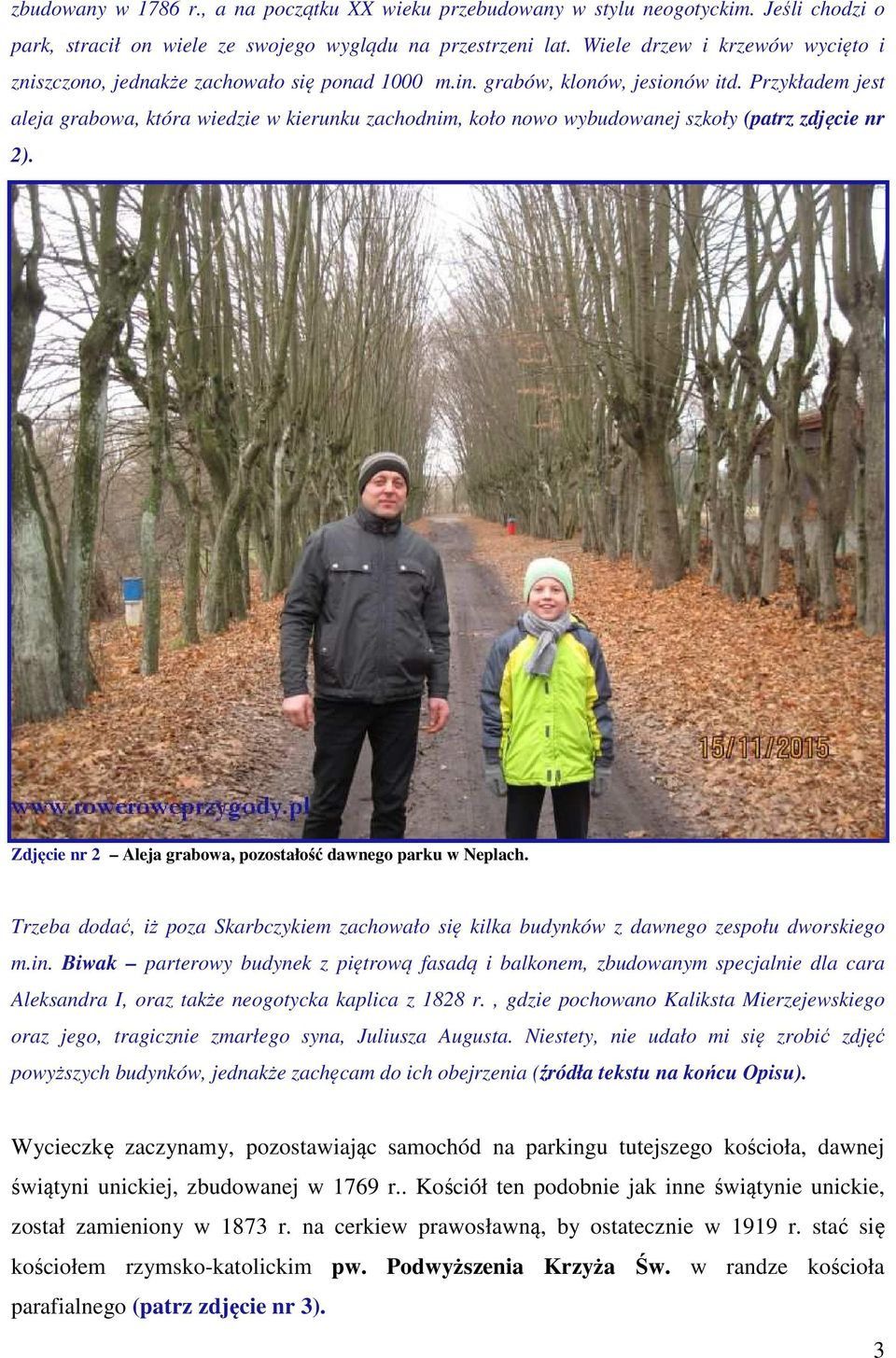 Przykładem jest aleja grabowa, która wiedzie w kierunku zachodnim, koło nowo wybudowanej szkoły (patrz zdjęcie nr 2). Zdjęcie nr 2 Aleja grabowa, pozostałość dawnego parku w Neplach.