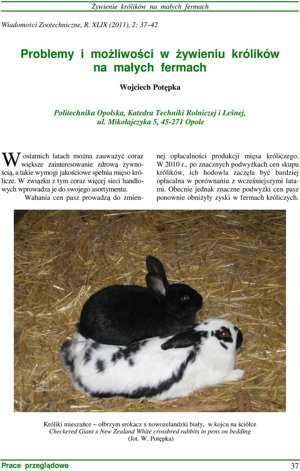 Problemy i możliwości w żywieniu królików na małych fermach - PDF Free  Download