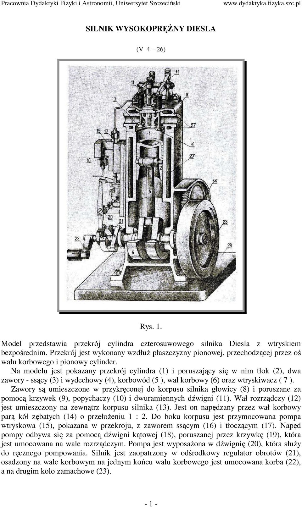 Na modelu jest pokazany przekrój cylindra (1) i poruszający się w nim tłok (2), dwa zawory - ssący (3) i wydechowy (4), korbowód (5 ), wał korbowy (6) oraz wtryskiwacz ( 7 ).