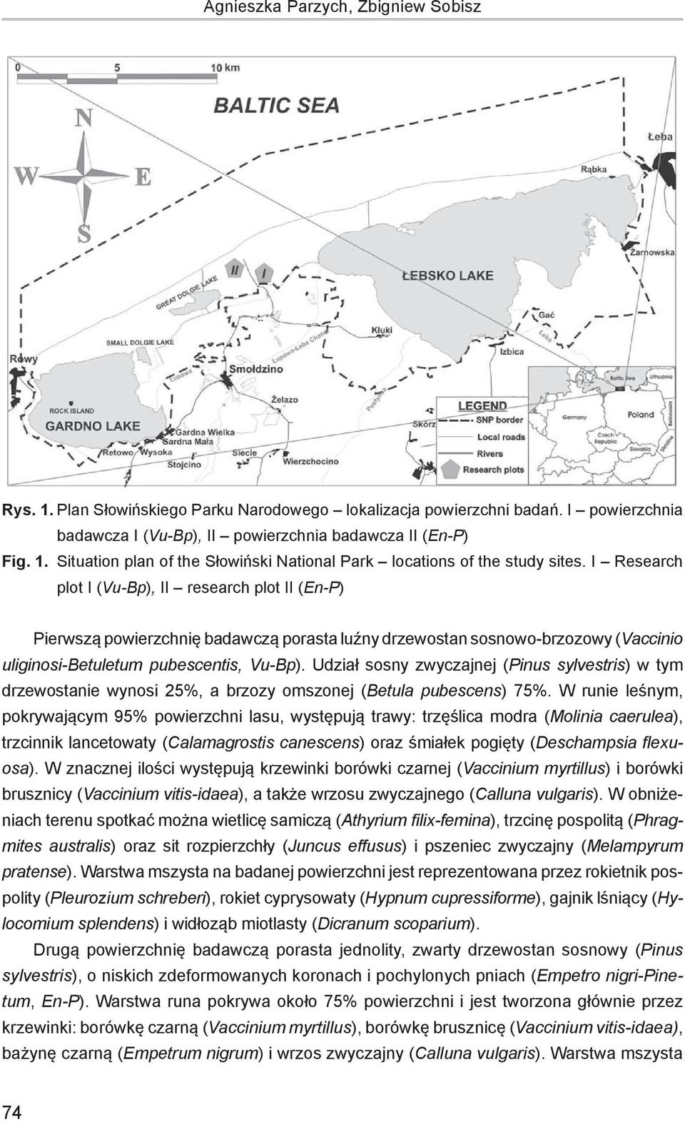Udział sosny zwyczajnej (Pinus sylvestris) w tym drzewostanie wynosi 25%, a brzozy omszonej (Betula pubescens) 75%.