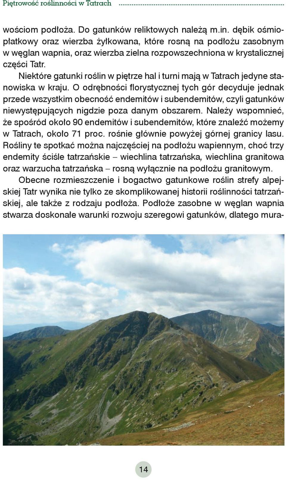Niektóre gatunki roślin w piętrze hal i turni mają w Tatrach jedyne stanowiska w kraju.