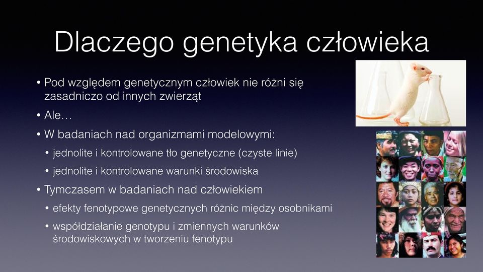 jednolite i kontrolowane warunki środowiska Tymczasem w badaniach nad człowiekiem efekty fenotypowe