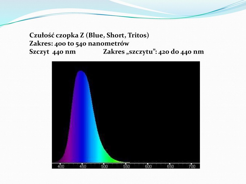 to 540 nanometrów Szczyt 440