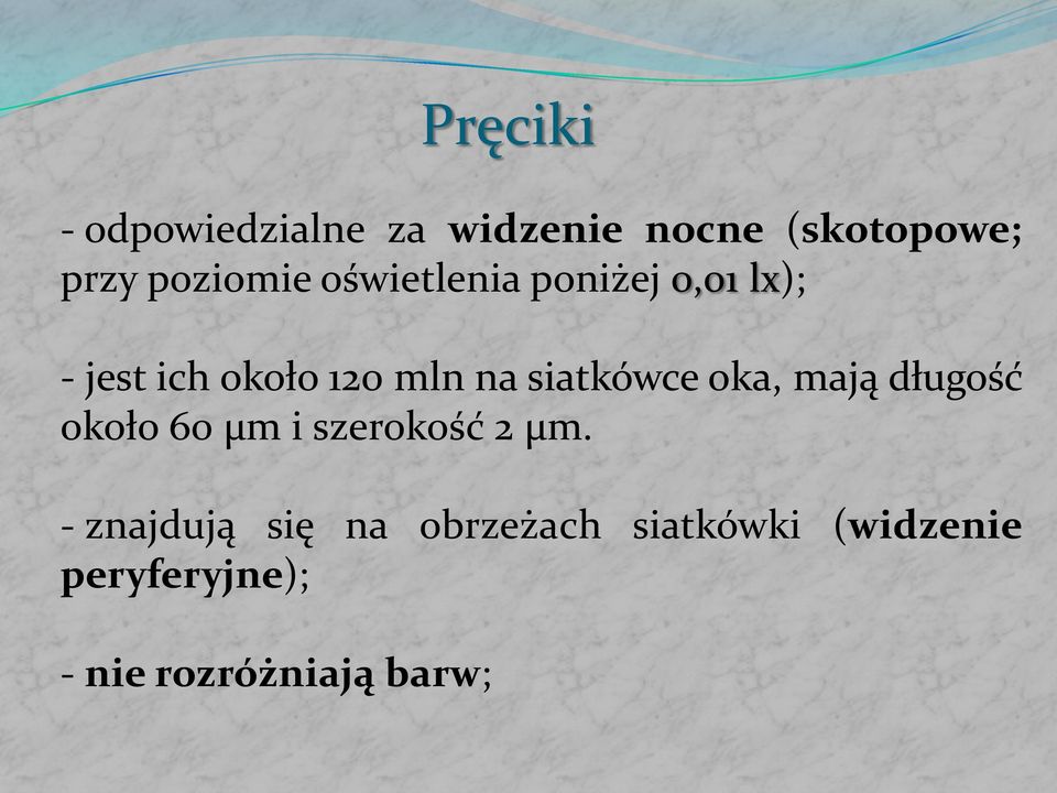 oka, mają długość około 60 µm i szerokość 2 µm.