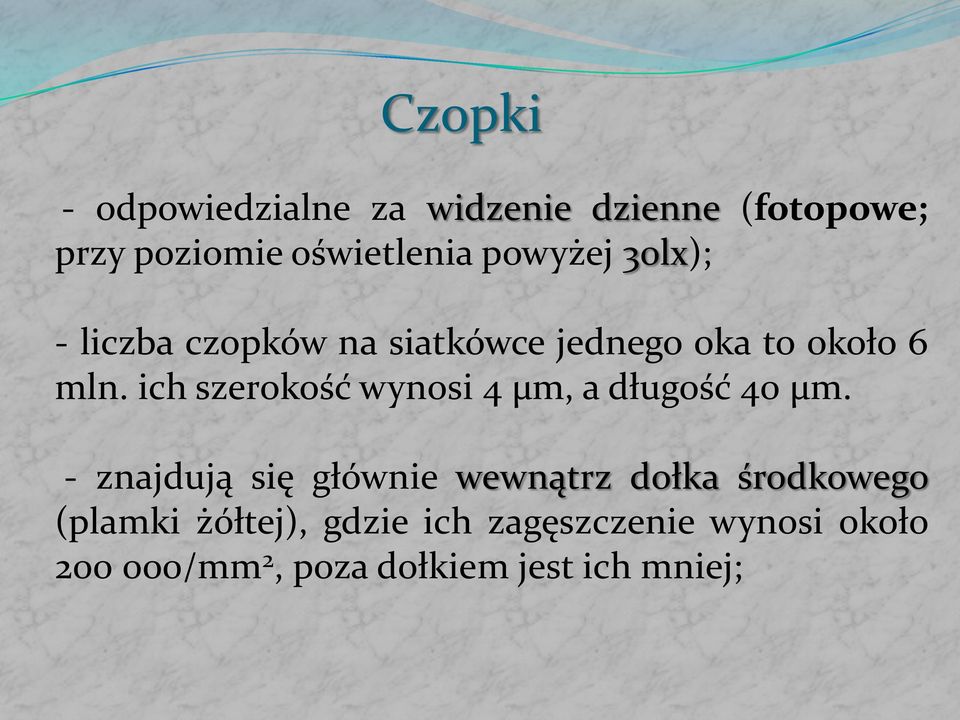 ich szerokość wynosi 4 µm, a długość 40 µm.