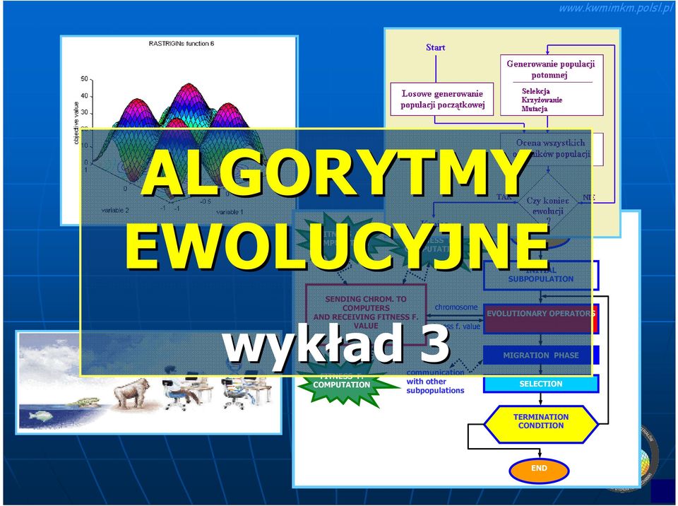 TO COMPUTERS chromosome AND RECEIVING FITNESS F. wykład VALUE 3 fitness f.