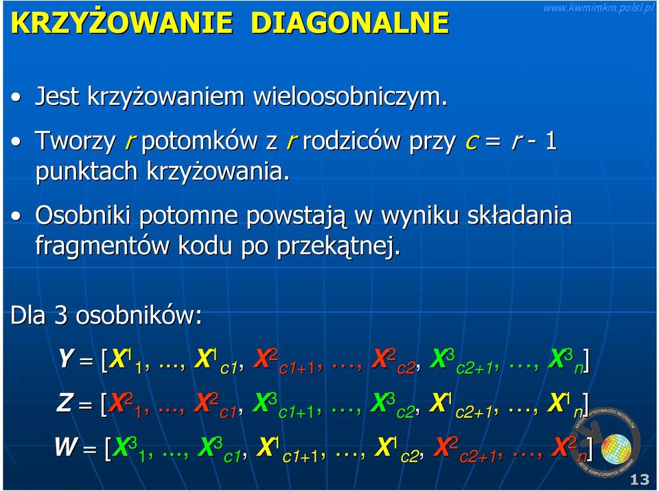 Osobniki potomne powstają w wyniku składania fragmentów w kodu po przekątnej.
