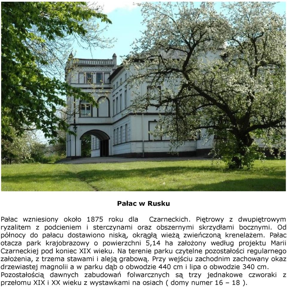 Pałac otacza park krajobrazowy o powierzchni 5,14 ha założony według projektu Marii Czarneckiej pod koniec XIX wieku.