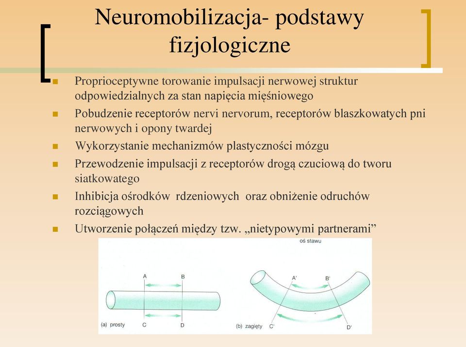 Wykorzystanie mechanizmów plastyczności mózgu Przewodzenie impulsacji z receptorów drogą czuciową do tworu siatkowatego