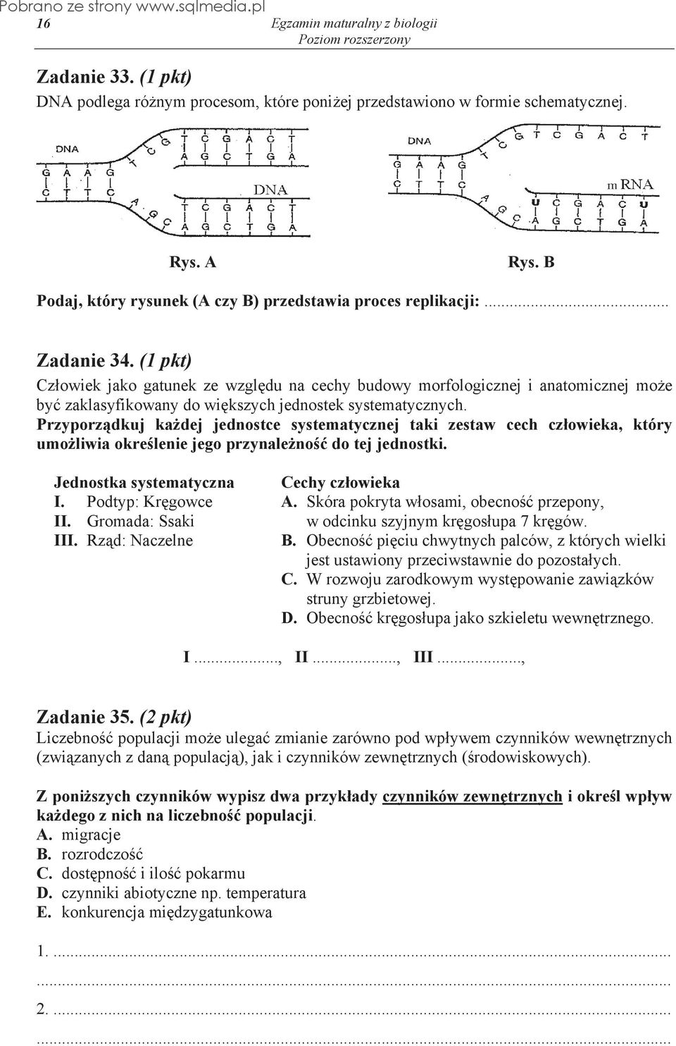 Przyporz dkuj ka dej jednostce systematycznej taki zestaw cech cz owieka, który umo liwia okre lenie jego przynale no do tej jednostki. Jednostka systematyczna I. Podtyp: Kr gowce II.