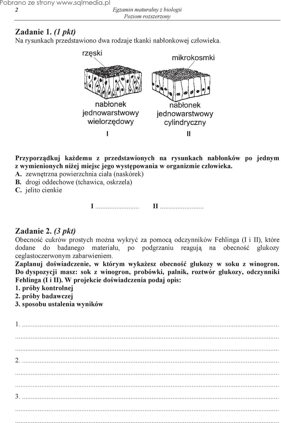 drogi oddechowe (tchawica, oskrzela) C. jelito cienkie I... II... Zadanie 2.