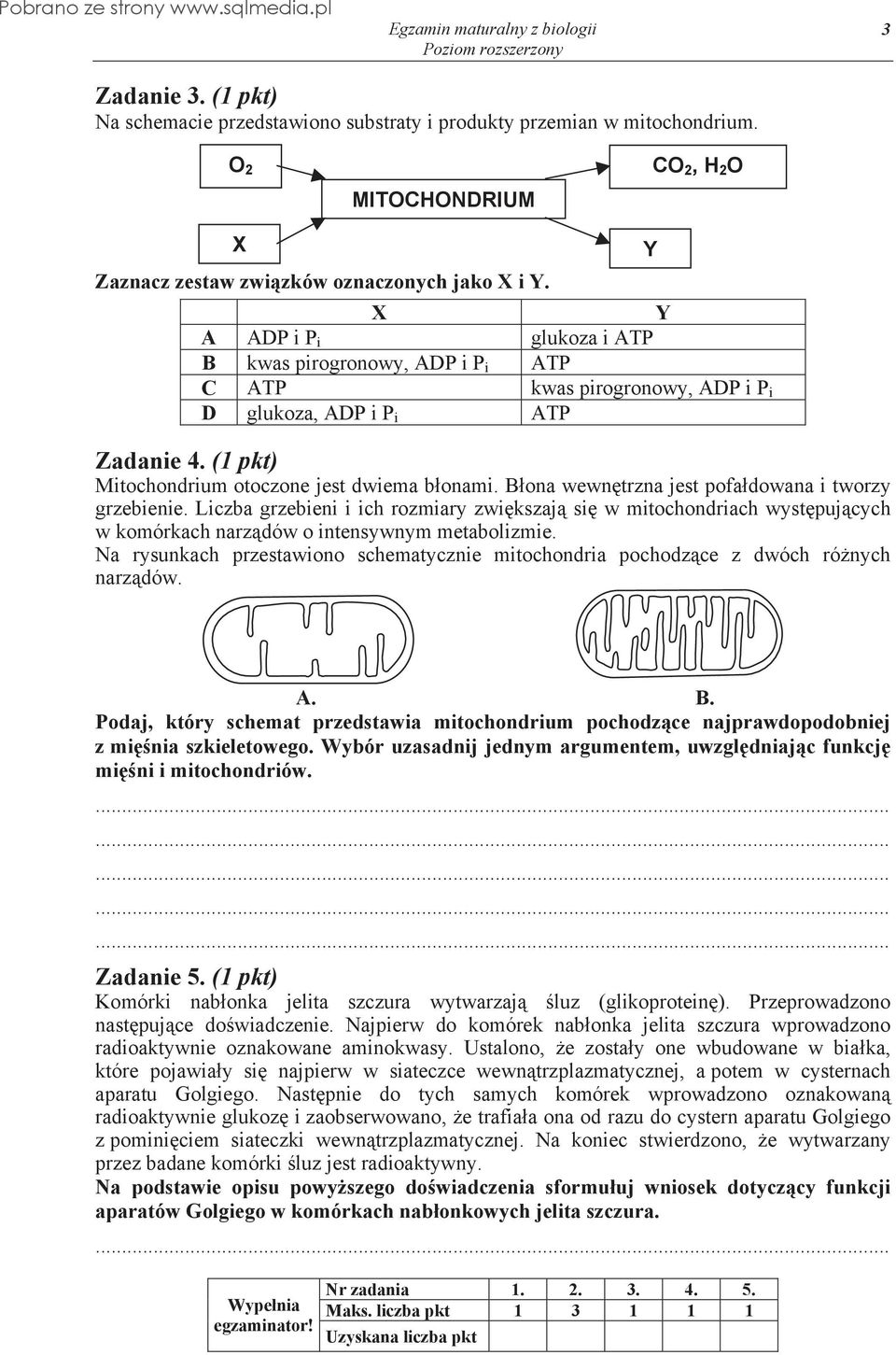 B ona wewn trzna jest pofa dowana i tworzy grzebienie. Liczba grzebieni i ich rozmiary zwi kszaj si w mitochondriach wyst puj cych w komórkach narz dów o intensywnym metabolizmie.
