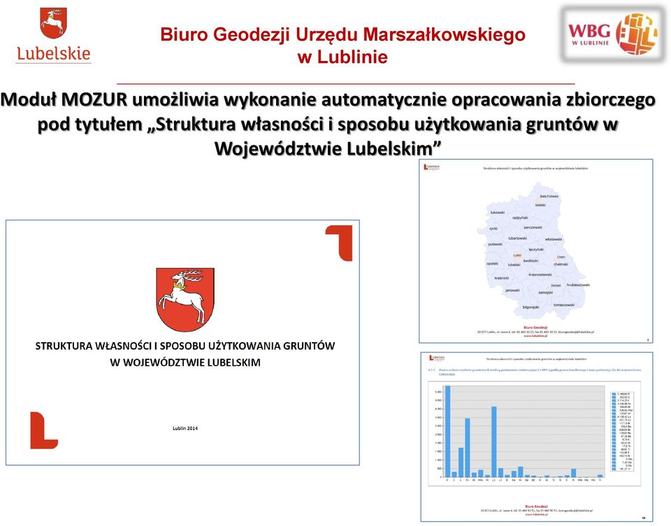 pod tytułem Struktura własności i