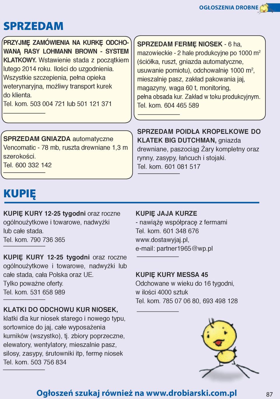 503 004 721 lub 501 121 371 FERMĘ NIOSEK - 6 ha, mazowieckie - 2 hale produkcyjne po 1000 m 2 (ściółka, ruszt, gniazda automatyczne, usuwanie pomiotu), odchowalnię 1000 m 2, mieszalnię pasz, zakład