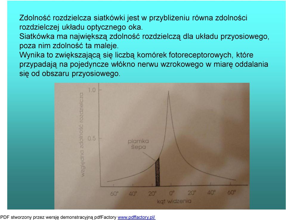 Siatkówka ma największą zdolność rozdzielczą dla układu przyosiowego, poza nim zdolność ta