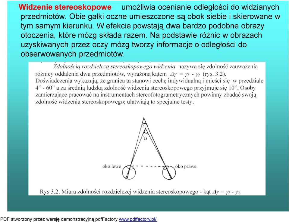 W efekcie powstają dwa bardzo podobne obrazy otoczenia, które mózg składa razem.