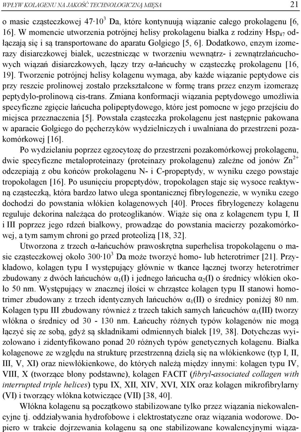 Dodatkowo, enzym izomerazy disiarczkowej białek, uczestnicząc w tworzeniu wewnątrz- i zewnątrzłańcuchowych wiązań disiarczkowych, łączy trzy α-łańcuchy w cząsteczkę prokolagenu [16, 19].