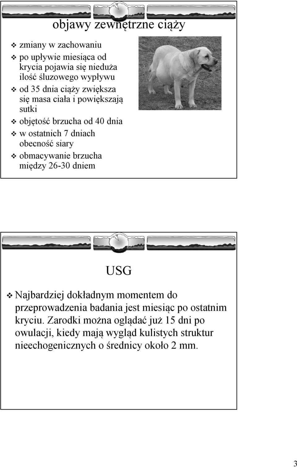 obmacywanie brzucha między 26-30 dniem USG Najbardziej dokładnym momentem do przeprowadzenia badania jest miesiąc po ostatnim