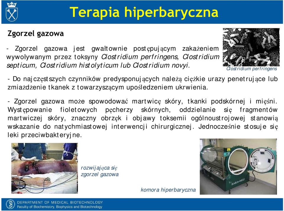 Clostridium perfringens - Do najczęstszych czynników predysponujących należą ciężkie urazy penetrujące lub zmiażdżenie tkanek z towarzyszącym upośledzeniem ukrwienia.