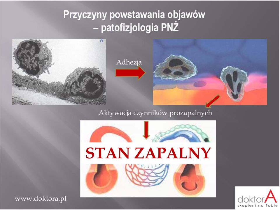 PNŻ Adhezja Aktywacja