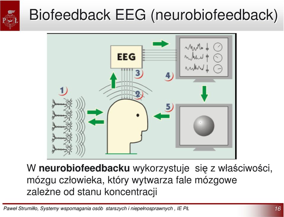 właściwości, mózgu człowieka, który