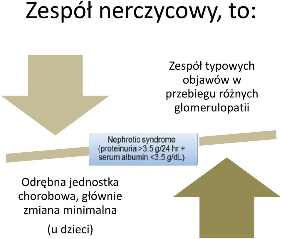 glomerulopatii Odrębna jednostka